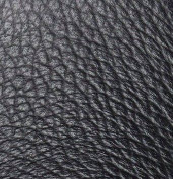 Boatman Black from above