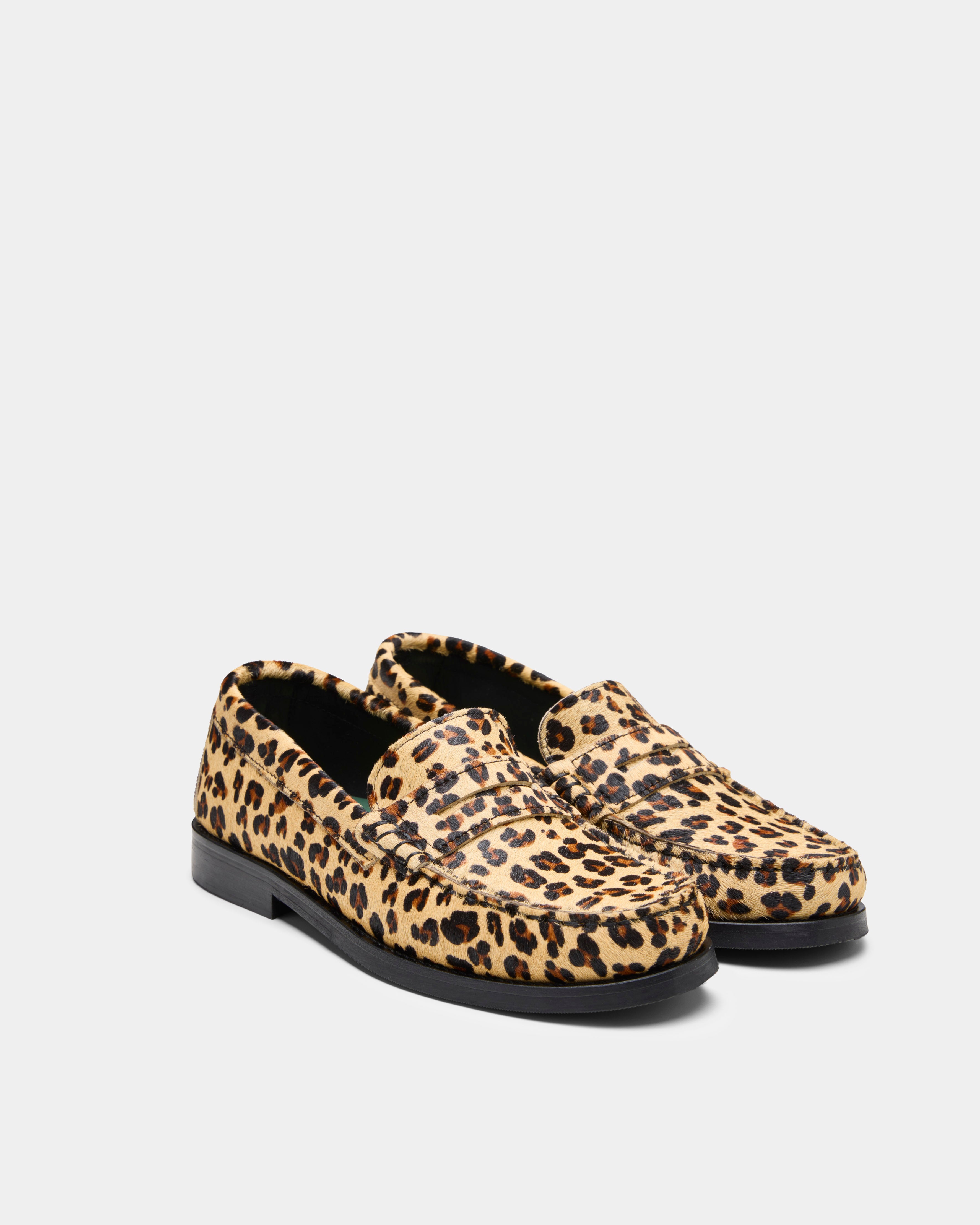 Frankie Spotted pony hair from the front